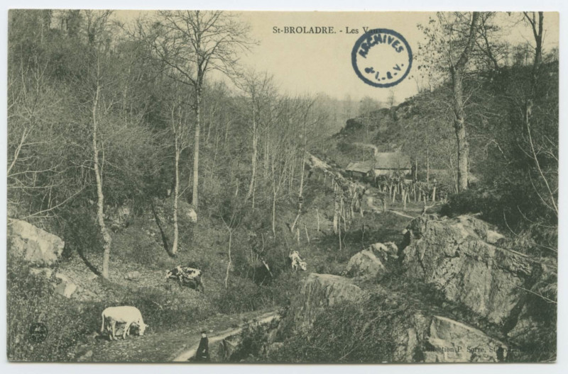 Carte postale ancienne Saint-Broladre.- Les Vaux
