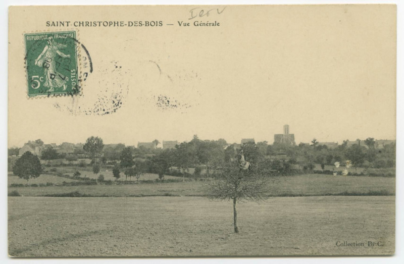 Carte postale ancienne Saint-Christophe-Des-Bois - Vue Generale