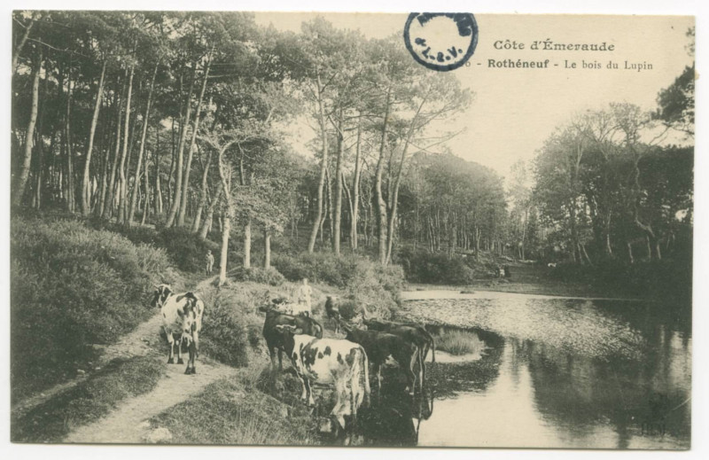 Carte postale ancienne 726 - Rotheneuf. - Le Bois du Lupin
