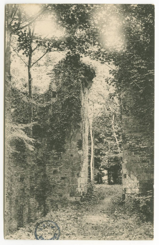 Carte postale ancienne 38856 Le Plessis-BERTRAND: Ruines de l'Ancienne Seigneurie de Cancale