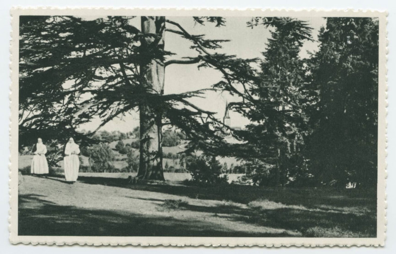 Carte postale ancienne Saint-Didier (I.-et-V.) - Le Val  Notre-Dame (Maison de repos de la Clinique St-Yves) - Vue vers Saint-Jean-sur-Vilaine