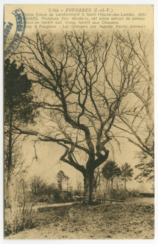 Carte postale ancienne 3 Bis - Fougeres (I.-et-V.) Ce Chêne Creux de Landunmont à Saint-Hilaire-des-Landes, près Fougeres. Plusieurs fois séculaire, cet arbre servait de