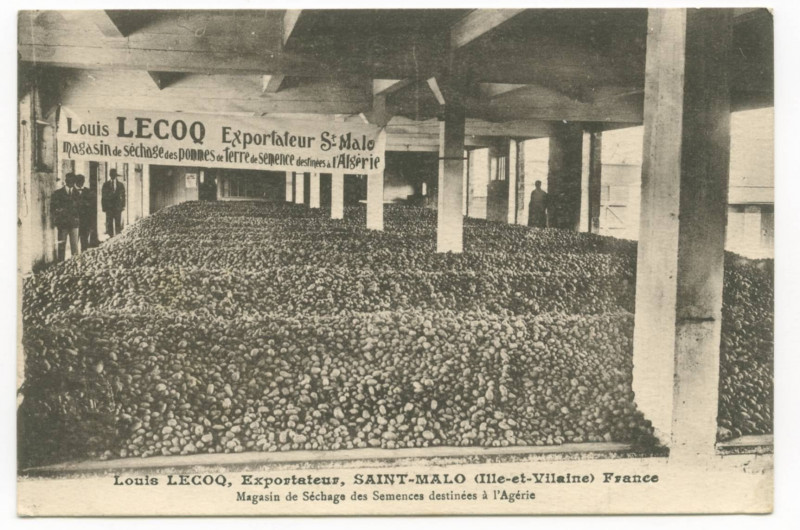 Carte postale ancienne Louis LECOQ, exportateur,  Saint-Malo (Ille-et-Vilaine) France. Magasin de séchage des semences déstinées à l'Algérie.