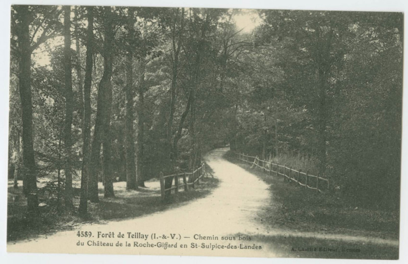 Carte postale ancienne 4589. Forêt de Teillay (I.-&-V) - Chemin sous bois du Château de la Roche-Giftard en St-Sulpice-des-Landes