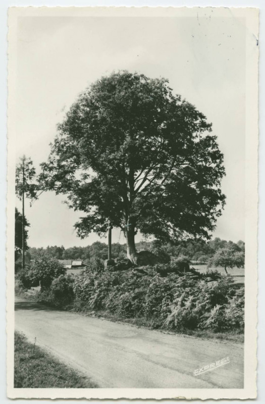 Carte postale ancienne Le Tiercent (I.-et-V.) - Le Calvaire