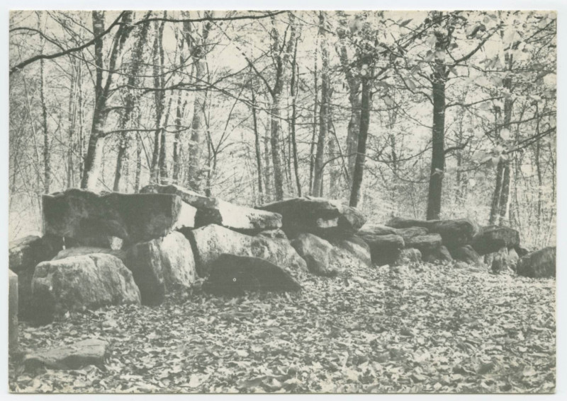 Carte postale ancienne Tresse (Ille-et-Vilaine) Allee Couverte Monument Megalithique.