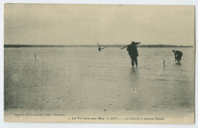 Carte postale ancienne Le Viviers-sur-Mer (I.-et-V.) - La Grève à marée basse.