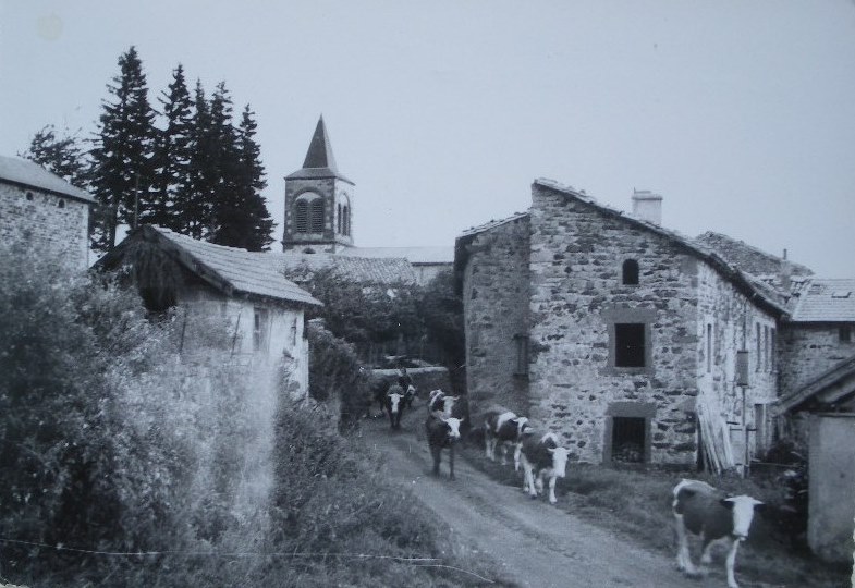 Carte postale ancienne Vaz 1 - une rue