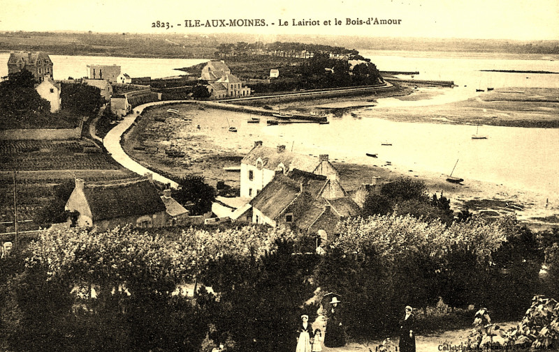 Carte postale ancienne Lairiot et Bois d'Amour