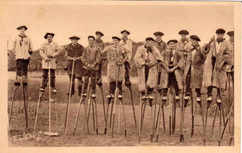 Carte postale ancienne Landes - Echassiers 1