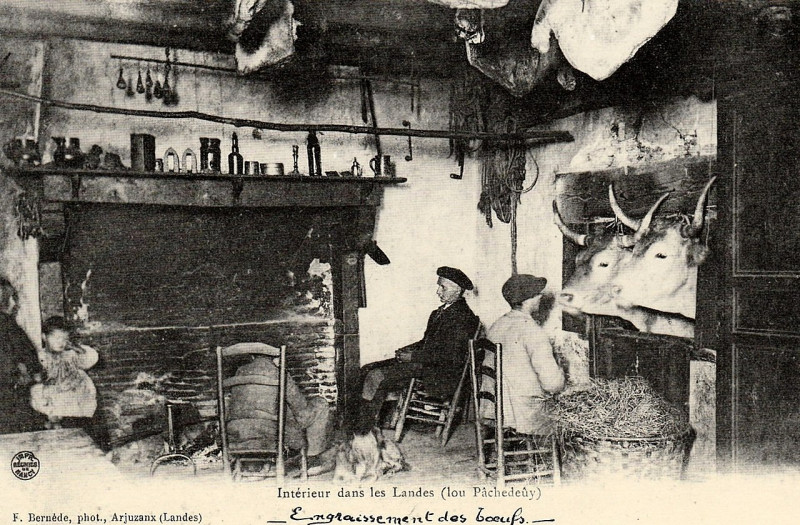 Carte postale ancienne Landes - Intérieur