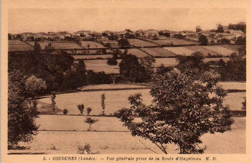 Carte postale ancienne Coudures (Landes) - vue panoramique 1