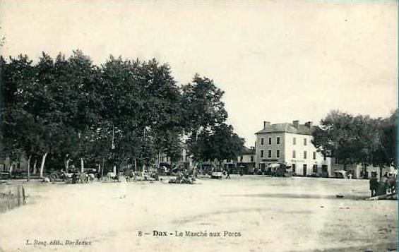 Carte postale ancienne Dax (Landes) - Marché aux porcs 2