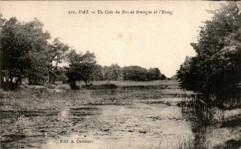 Carte postale ancienne Dax (Landes) - Bois de Boulogne 8