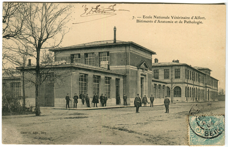 Carte postale ancienne Alfort CP22