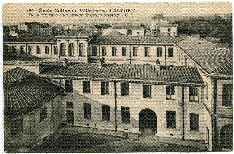 Carte postale ancienne Carte postale Bâtiment Blin Enva