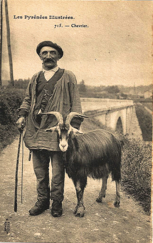 Carte postale ancienne Rhune Agropastoralisme Chevrier