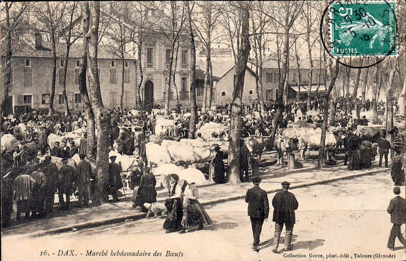 Carte postale ancienne Dax (Landes) - Marché aux boeufs 2