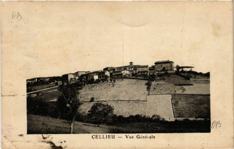 Carte postale ancienne Cellieu - Vue Générale à Cellieu