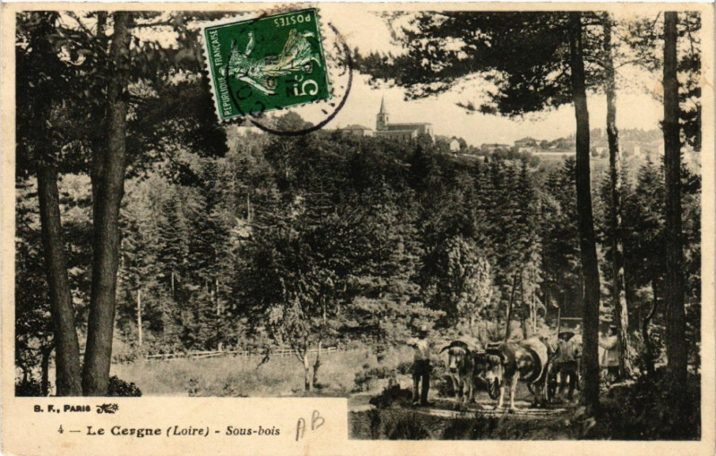 Carte postale ancienne Le Cergne -sous-bois au Cergne
