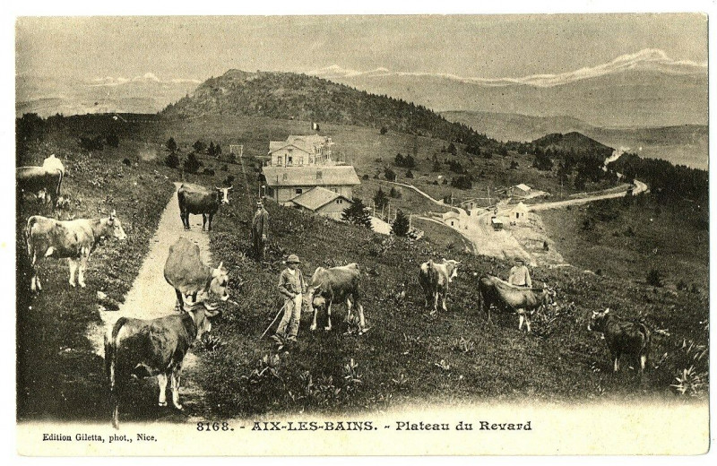 Carte postale ancienne Savoie Aix-les-Bains Plateau du Revard animaux animé à Aix-les-Bains