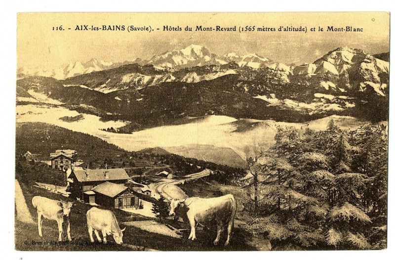 Carte postale ancienne Savoie Aix-les-Bains Hôtel du Mt-Revard et Mont-Blanc animaux à Aix-les-Bains