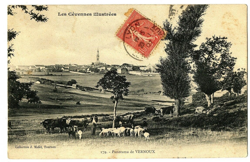 Carte postale ancienne Ardèche Panorama de Vernoux animé animaux