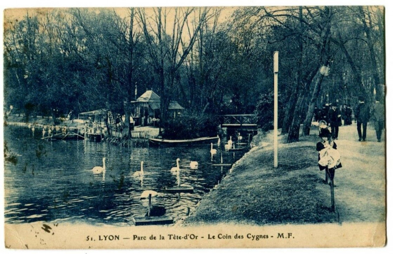 Carte postale ancienne Rhône Lyon Parc de la Tête d'Or Le coin des Cygnes animé à Lyon