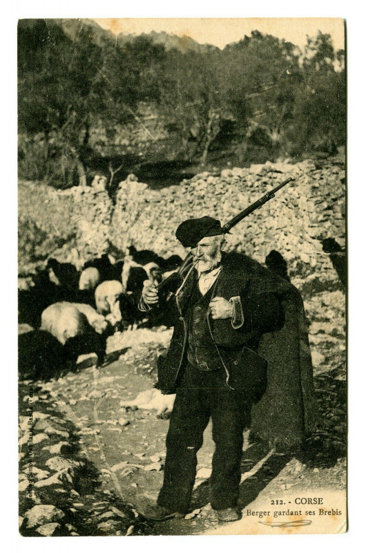 Carte postale ancienne Corse Berger gardant ses brebis