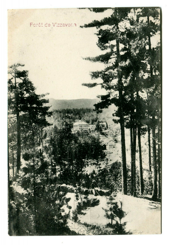 Carte postale ancienne Corse Vizzavona La Forêt