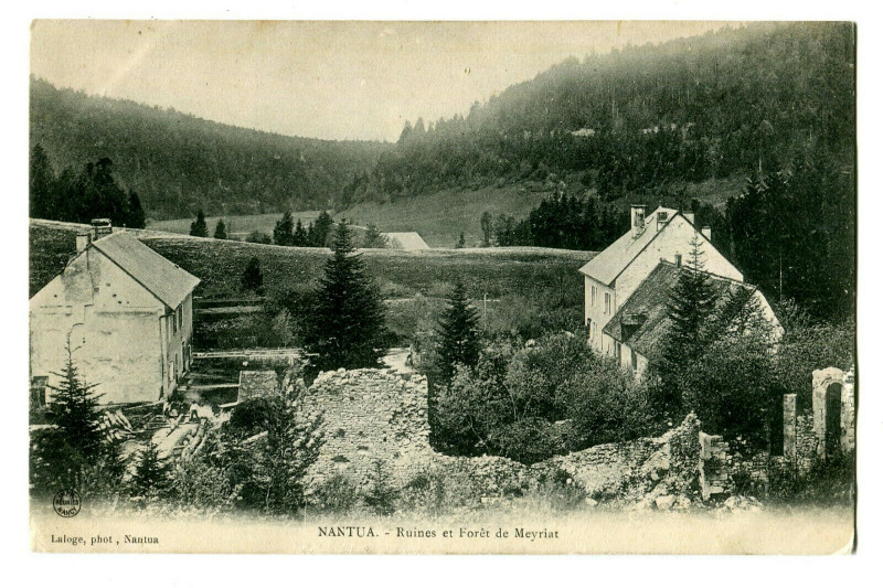 Carte postale ancienne Ain Nantua Ruines et Forêt de Meyriat à Nantua
