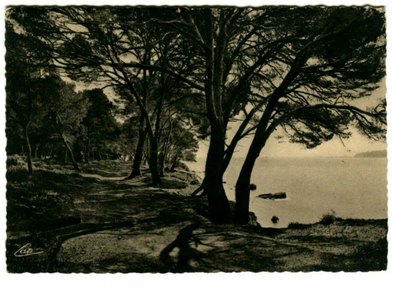 Carte postale ancienne Alpes-Maritimes Ile sainte-Marguerite Un Coin de l'Ile Bord de Mer