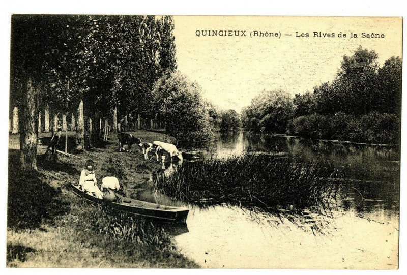 Carte postale ancienne Rhône Quincieux Les Rives de la Saône animé barque animaux à Quincieux