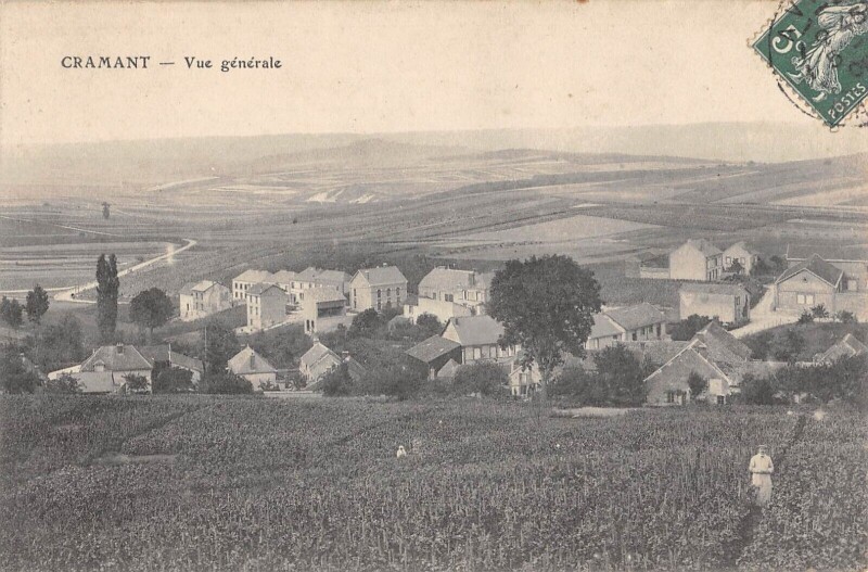 Carte postale ancienne Cramant Vue Generale à Cramant