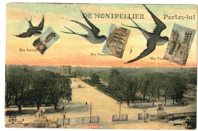 Carte postale ancienne Herault Fantaisie Multivues de Montpellier Portez-lui à Montpellier