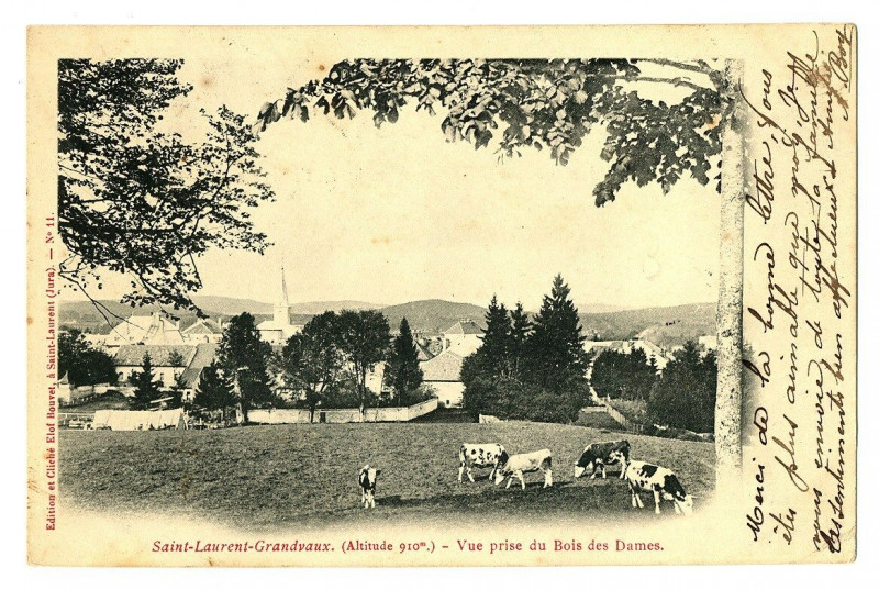 Carte postale ancienne Jura Saint-Laurent-en-Grandvaux Vue prise du Bois des Dames animé à Saint-Laurent-en-Grandvaux