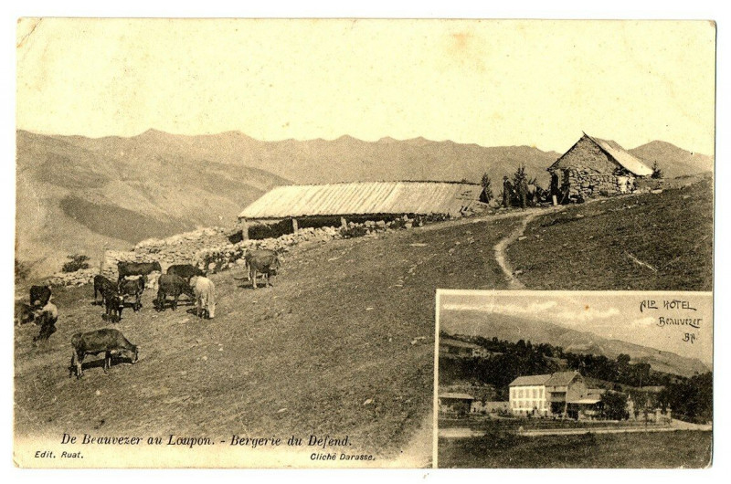 Carte postale ancienne Alpes de Haute-Provence de Beauvezer au Laupon Bergerie du Défend animé à Beauvezer
