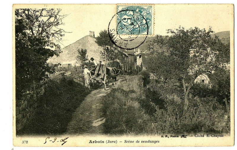 Carte postale ancienne Jura Arbois Scène de Vendanges animé charette à Arbois