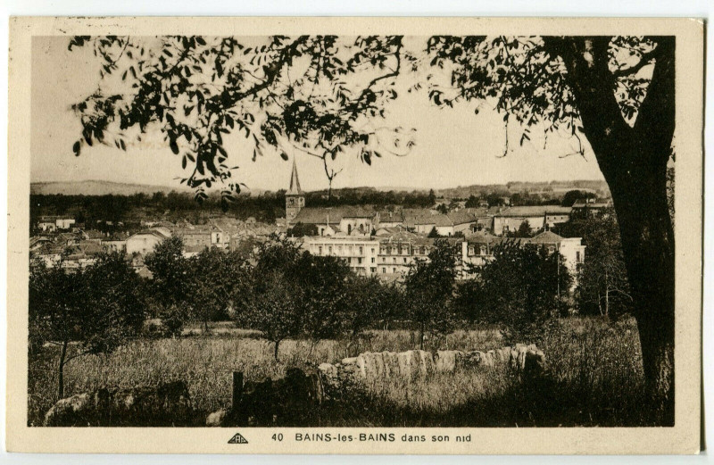 Carte postale ancienne Vosges Bains-les-Bains Vue générale