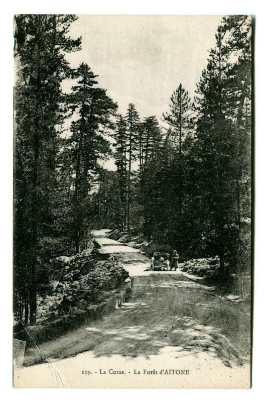 Carte postale ancienne Corse La Forêt d'Aitone animé