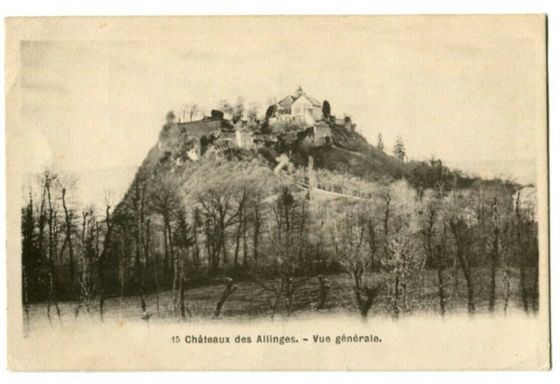 Carte postale ancienne Savoie Châteaux des Allinges Vue générale