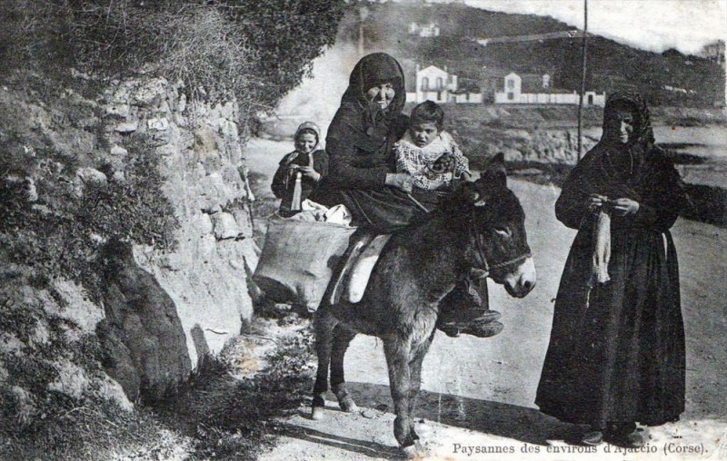 Carte postale ancienne 20 Corse  paysannes des environs d'ajaccio (Gros Plan) à Ajaccio