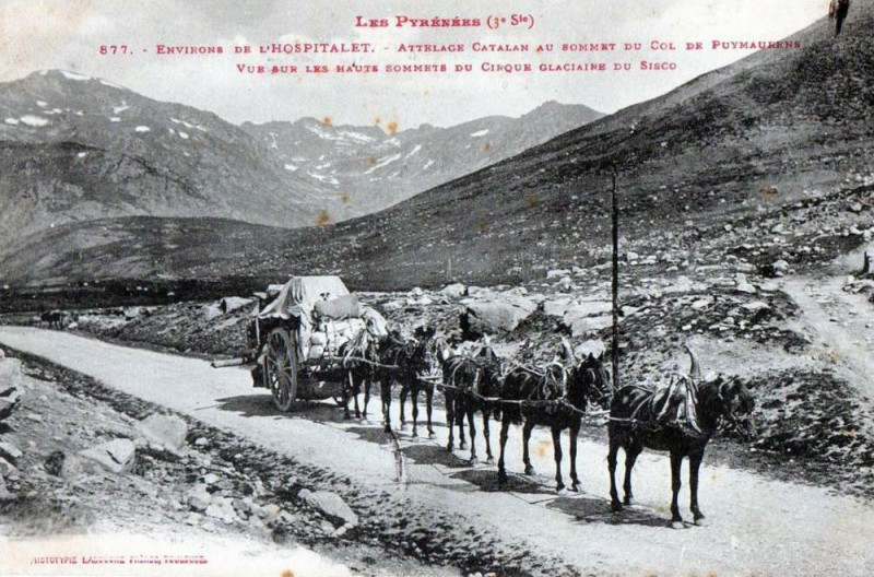 Carte postale ancienne Environs de l'Hospitalet Attelage Catalan au sommet du col de Puymaurens