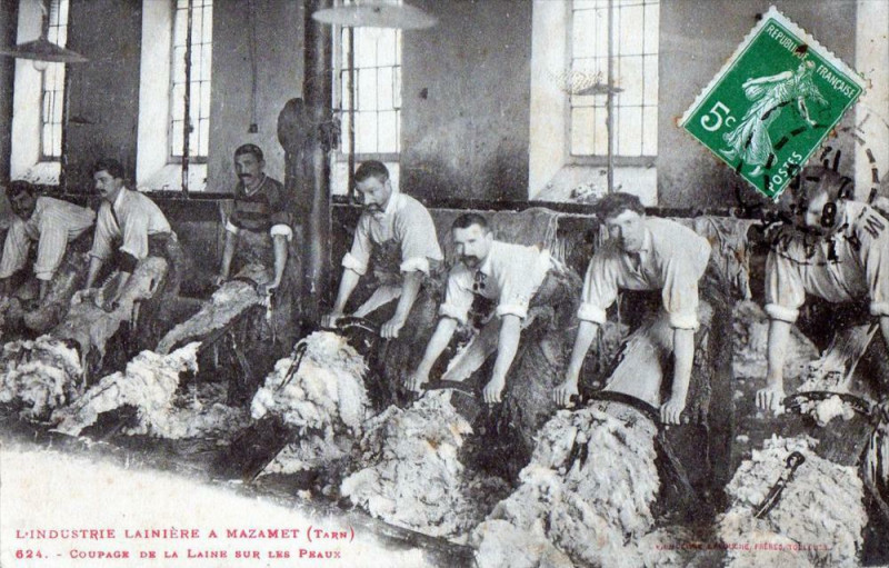 Carte postale ancienne L'Industrie Lainiere A Mazamet Coupage De La Laine Sur Les Peaux à Mazamet