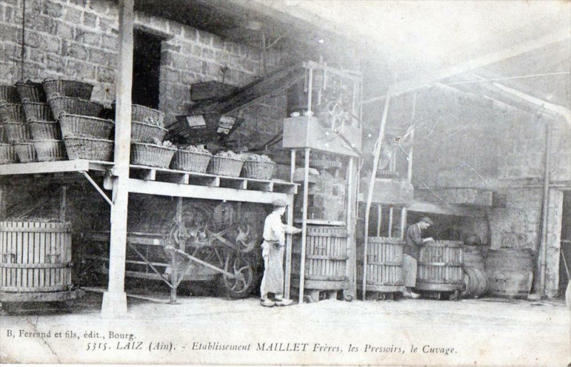 Carte postale ancienne Laiz Etablissement Maillet Freres Les Pressoirs Le Cuvage (Top Selection à Laiz