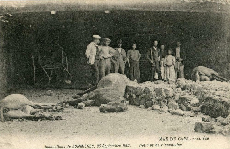 Carte postale ancienne Inondations De Sommieres 26 Sept 1907 Victimes De L'Inondation à Sommières