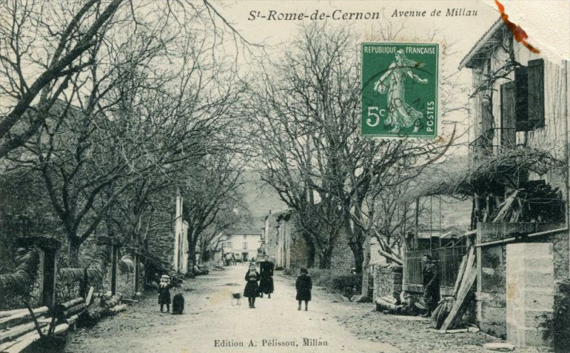 Carte postale ancienne Saint Rome De Cernon Avenue De Millau à Millau