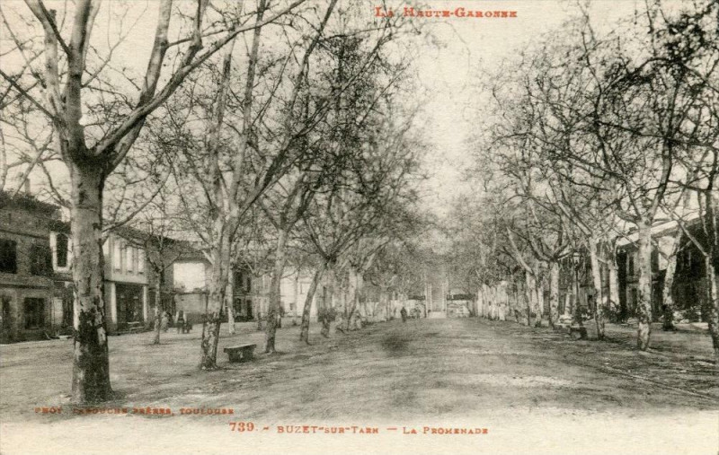 Carte postale ancienne Buzet Sur Tarn La Promenade à Buzet-sur-Tarn