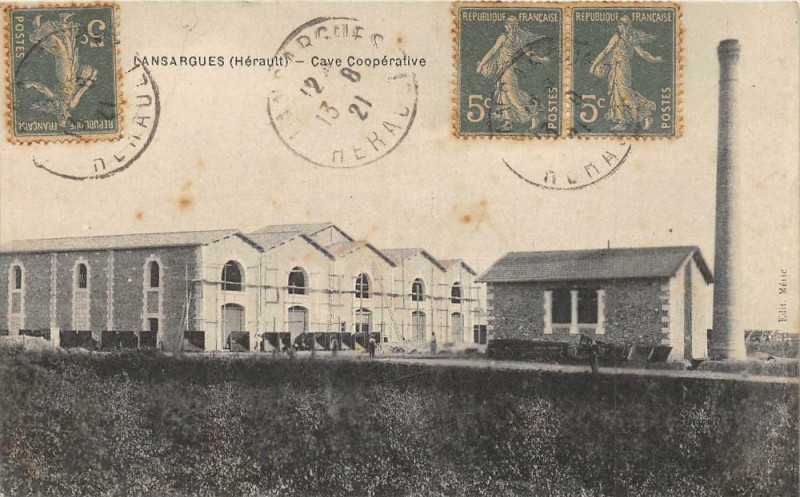 Carte postale ancienne Lansargues Cave Cooperative à Lansargues