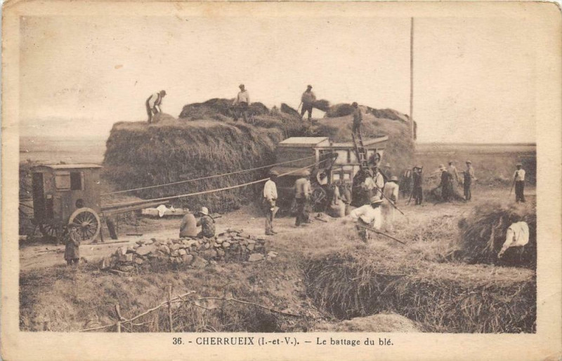 Carte postale ancienne Cherrueix Le Battage Du Ble (cpa top sélection à Cherrueix